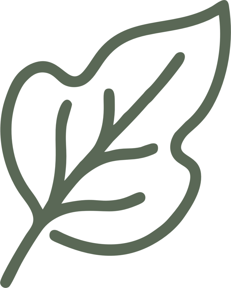 folha-verde-vetor